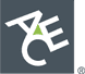 ACE Group Logo